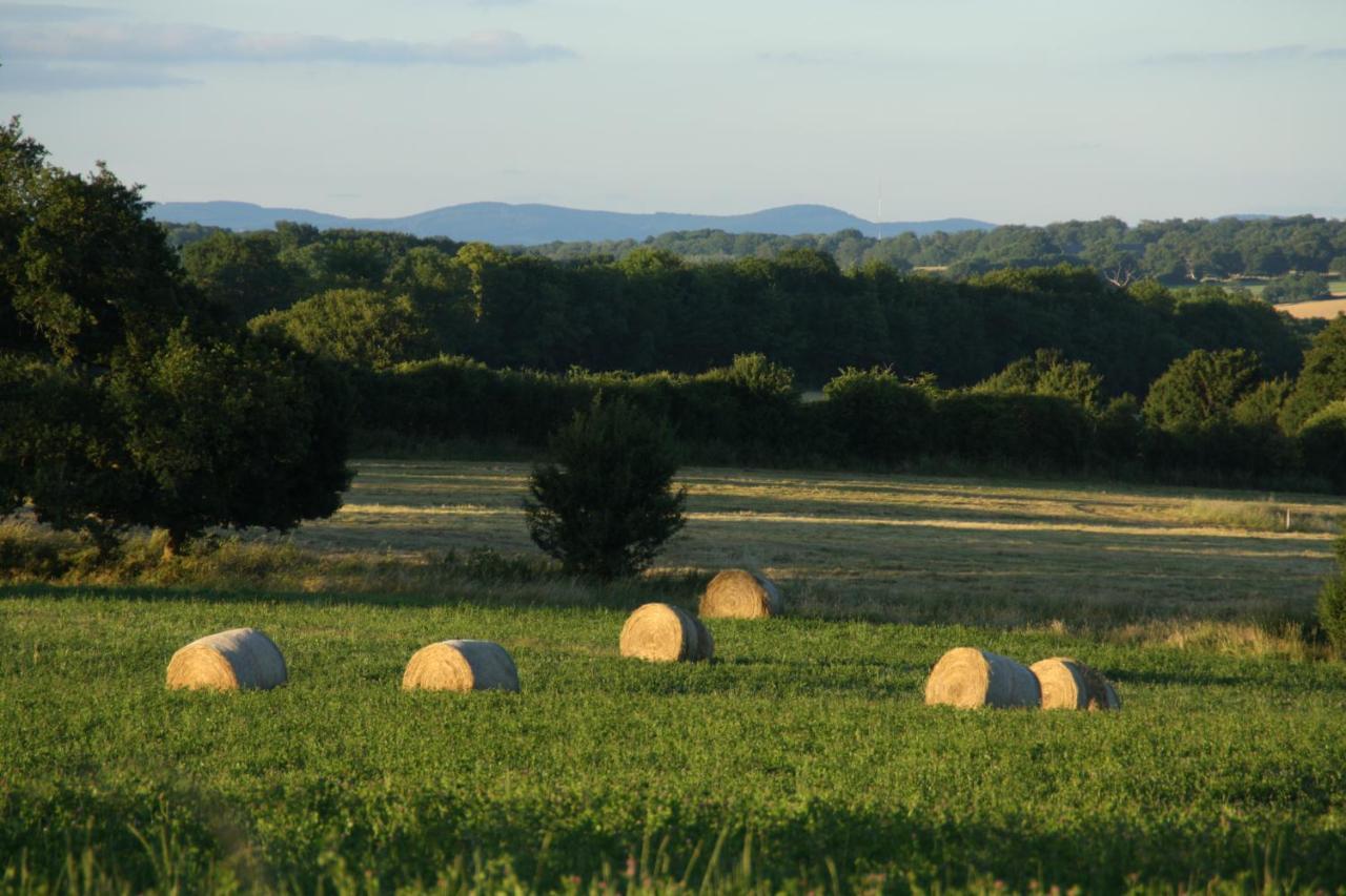 Domaine De Savigny Bed & Breakfast Saint-Saulge Exterior photo